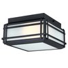 Westinghouse Fixture Ceiling Outdr Flush-Mount 60W 2-Light Devyn 12In Txt, Black Frost Sd Glass 6123600